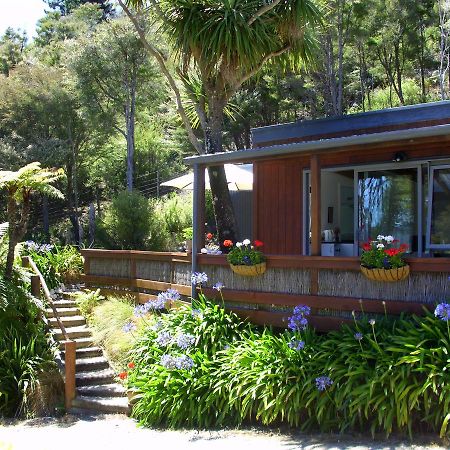 Cabbage Tree Chalet Parapara Quarto foto